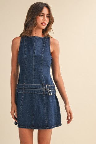 Zole Denim Dress