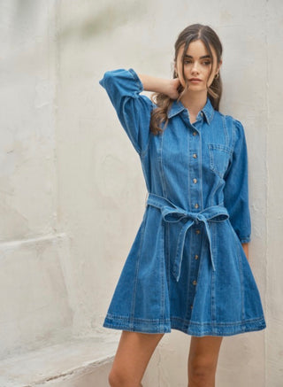 Vale Denim Dress
